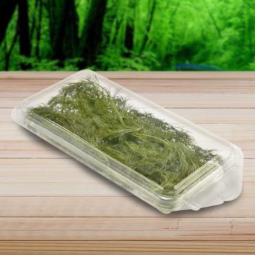 disposable herb container