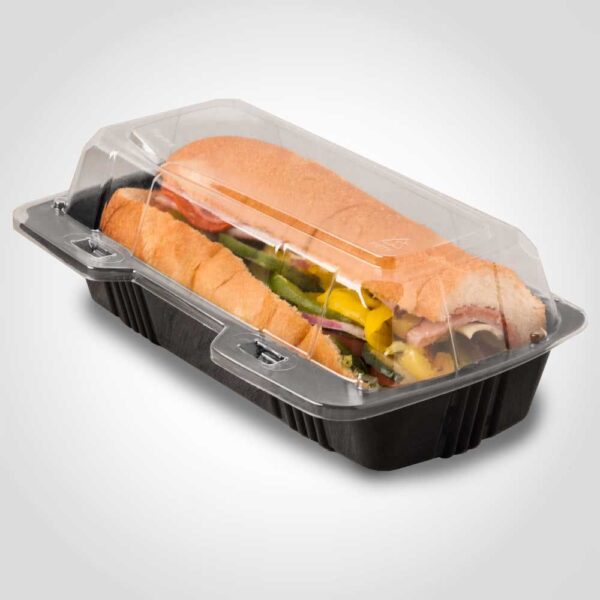 Hinged Sandwich Container with black base and clear top