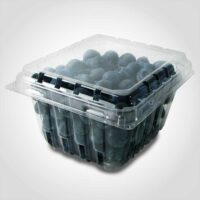1 Pint Vented Clamshell Container