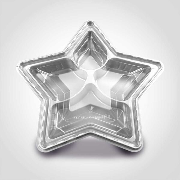 Holiday Silver Star Tray with four cells