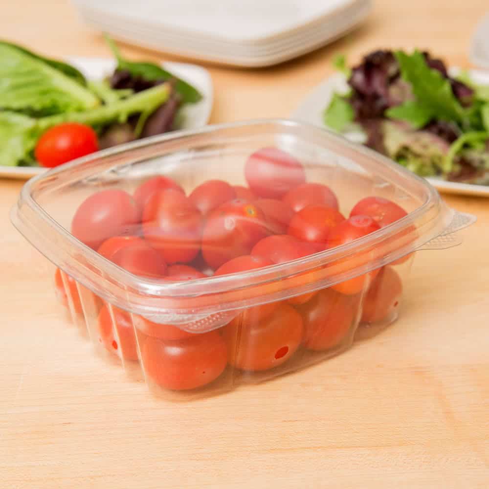 [500 Pack] Clear Hinged Plastic Containers - Single Compartment Clamshell  Take Out Containers for Cake, Pastry, Salad - Disposable Plastic Togo Boxes