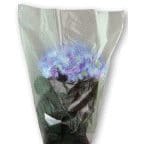 SLEEVES FOR ROSE VASE Clear Non-Vented - 100 Pack (410000)