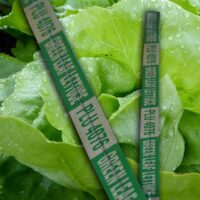 Green Leaf Lettuce Foil Twist Tie - 1000 Pack (169999)