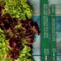 Red Leaf Lettuce Foil Twist Tie - 1000 Pack (169998)