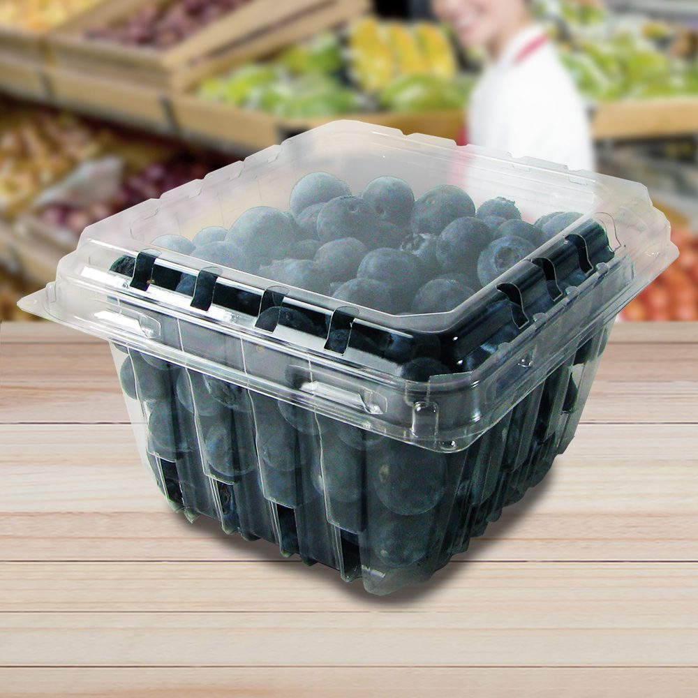 1 lb. Clear Vented Clamshell Produce / Berry Container - 352/Case