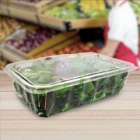 Spring mix Container - 152 Pack (260742)