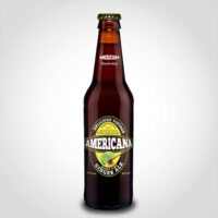 Americana Ginger Ale 12oz - 24 PACK