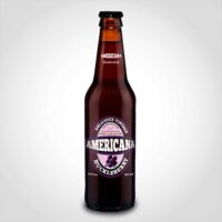 Americana Huckleberry 12oz - 24 PACK
