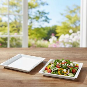 White Sugarcane Tray Atlas compostable and eco friendly