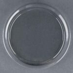 Deli Container Lid PET - 500 Pack (261183)