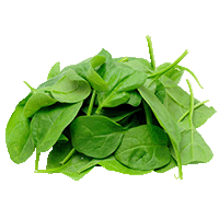 SPINACH PACKAGING