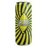 James Lemonade with Mint 16oz 24 Pack – Refreshing Mint Lemonade Drink