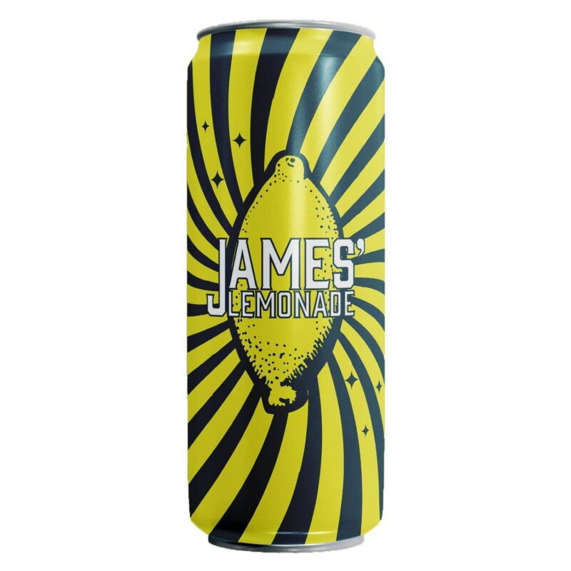 50700 James Lemonade with Mint 16oz 24 Pack – Refreshing Mint Lemonade Drink